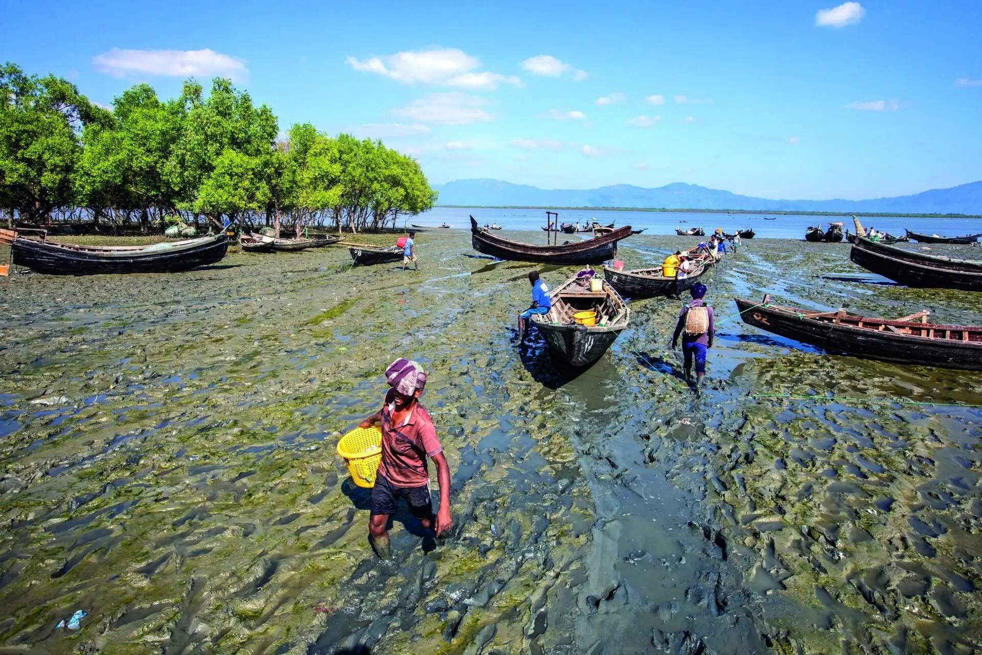 Fishing boats on the shore at low tide